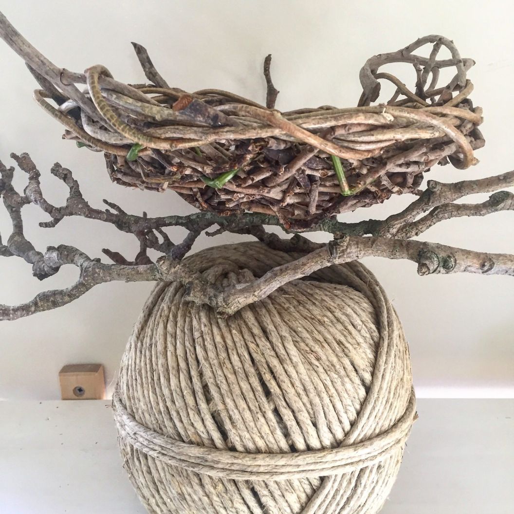 You are currently viewing Robyn Morris Atelier