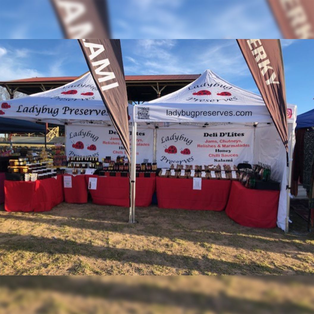 You are currently viewing Ladybug Preserves