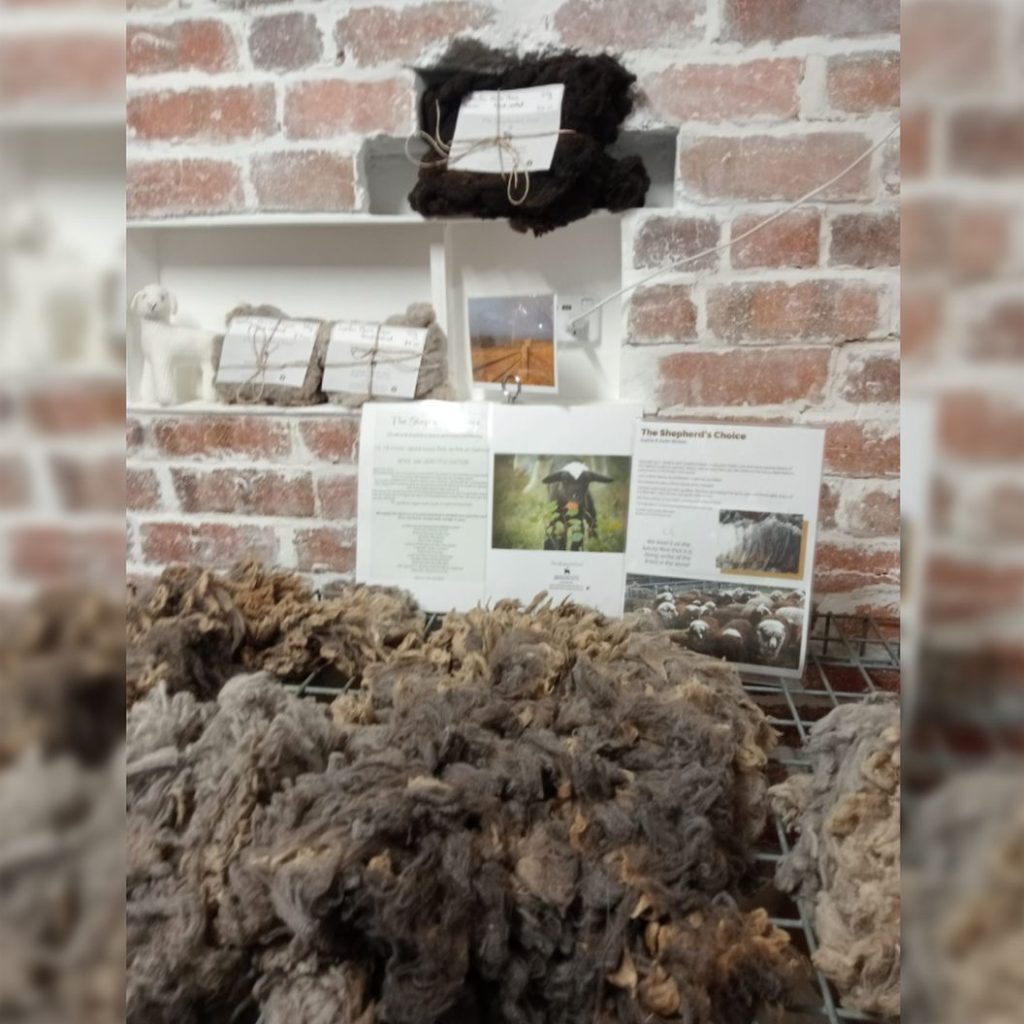 The Shepherds Choice